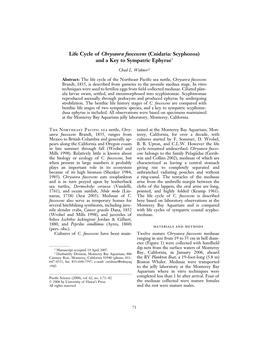 Life Cycle of Chrysaora Fuscescens (Cnidaria: Scyphozoa) and a Key to Sympatric Ephyrae1