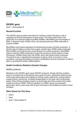 DICER1 Gene Dicer 1, Ribonuclease III