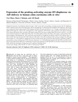 Expression of the Prodrug-Activating Enzyme DT-Diaphorase Via Ad5