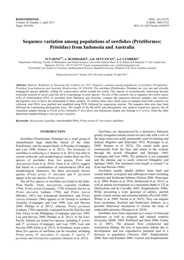 Sequence Variation Among Populations of Sawfishes (Pristiformes: Pristidae) from Indonesia and Australia