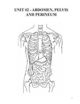 Unit #2 - Abdomen, Pelvis and Perineum