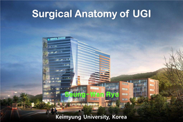 Studies on Laparoscopic Gastric Surgery in Korea