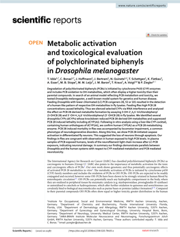 Metabolic Activation and Toxicological Evaluation of Polychlorinated Biphenyls in Drosophila Melanogaster T