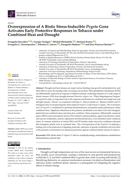 Overexpression of a Biotic Stress-Inducible Pvgstu Gene Activates Early Protective Responses in Tobacco Under Combined Heat and Drought