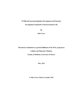 NUMB and Syncytiotrophoblast Development and Function: Investigation Using Bewo Choriocarcinoma Cells by Julie Carey This Thesis