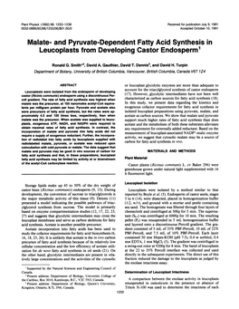 Malate- and Pyruvate-Dependent Fattyacid Synthesis In