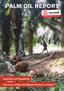 Palm Oil Report