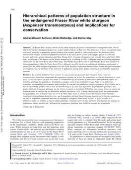 Acipenser Transmontanus) and Implications for Conservation