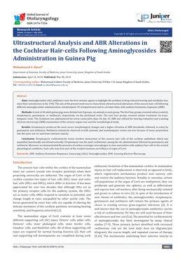 Ultrastructural Analysis and ABR Alterations in the Cochlear Hair-Cells Following Aminoglycosides Administration in Guinea Pig