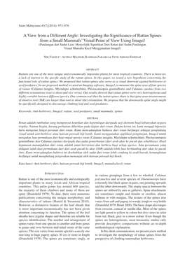 Investigating the Significance of Rattan Spines from a Small