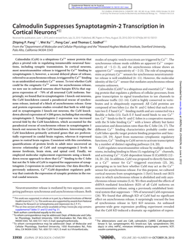 Calmodulin Suppresses Synaptotagmin-2 Transcription In