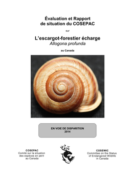 Escargot-Forestier Écharge,Allogona Profunda