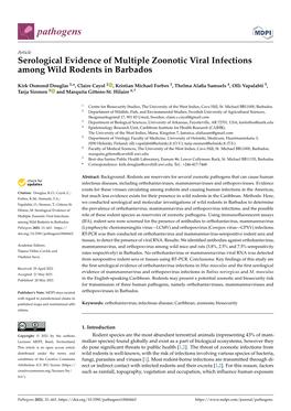 Serological Evidence of Multiple Zoonotic Viral Infections Among Wild Rodents in Barbados