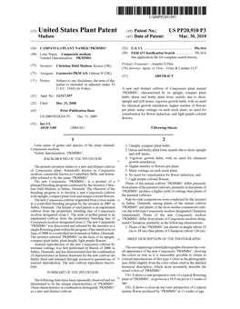 (12) United States Plant Patent (10) Patent No.: US PP20,910 P3 Madsen (45) Date of Patent: Mar