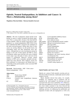 Opioids, Neutral Endopeptidase, Its Inhibitors and Cancer: Is There a Relationship Among Them?