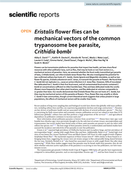 Eristalis Flower Flies Can Be Mechanical Vectors of the Common