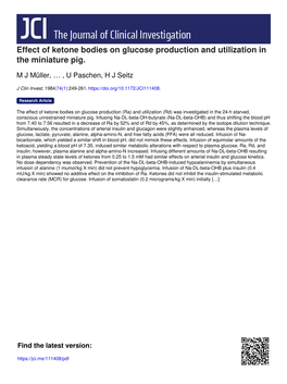 Effect of Ketone Bodies on Glucose Production and Utilization in the Miniature Pig