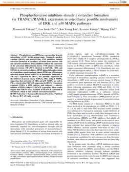 Phosphodiesterase Inhibitors Stimulate Osteoclast Formation Via TRANCE/RANKL Expression in Osteoblasts: Possible Involvement of ERK and P38 MAPK Pathways