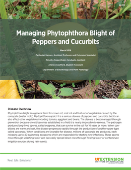 Managing Phytophthora Blight of Peppers and Cucurbits