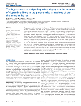 The Hypothalamus and Periaqueductal Gray Are the Sources of Dopamine Fibers in the Paraventricular Nucleus of the Thalamus in Th