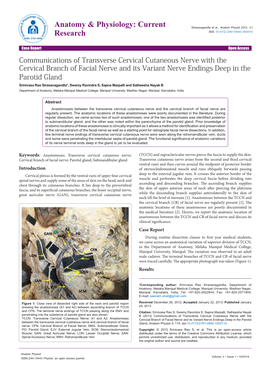 Communications of Transverse Cervical Cutaneous Nerve with the Cervical Branch of Facial Nerve and Its Variant Nerve Endings