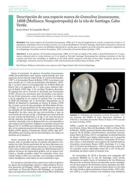 Descripción De Una Especie Nueva De Granulina Jousseaume, 1888 (Mollusca: Neogastropoda) De La Isla De Santiago, Cabo Verde