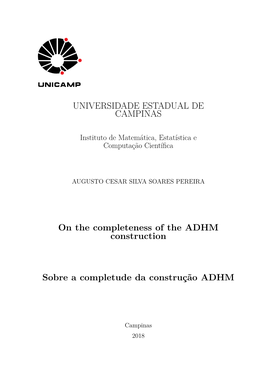 UNIVERSIDADE ESTADUAL DE CAMPINAS on the Completeness Of