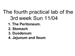 Practical 3Rd Week 2