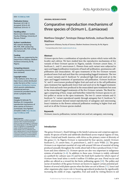 Comparative Reproduction Mechanisms of Three Species of Ocimum L.(Lamiaceae)