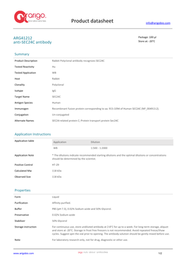 Anti-SEC24C Antibody (ARG41212)