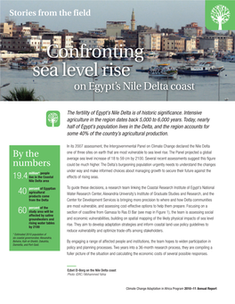 Confronting Sea Level Rise on Egypt’S Nile Delta Coast