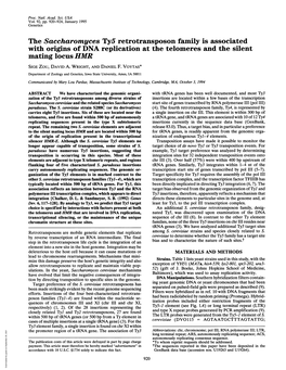 The Saccharomyces Ty5 Retrotransposon Family Is Associated with Origins of DNA Replication at the Telomeres and the Silent Mating Locus HMR SIGE Zou, DAVID A