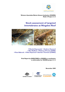 Stock Assessment of Targeted Invertebrates at Ningaloo Reef