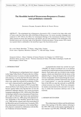 The Mesolithic Burial of Mezzocorona-Borgonuovo (Trento): Some Preliminary Comments