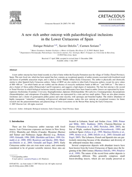 A New Rich Amber Outcrop with Palaeobiological Inclusions in the Lower Cretaceous of Spain