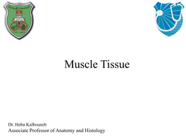 Muscle Tissue