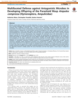 Multifaceted Defense Against Antagonistic Microbes in Developing Offspring of the Parasitoid Wasp Ampulex Compressa (Hymenoptera, Ampulicidae)
