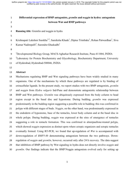 Differential Expression of BMP Antagonists, Gremlin and Noggin In