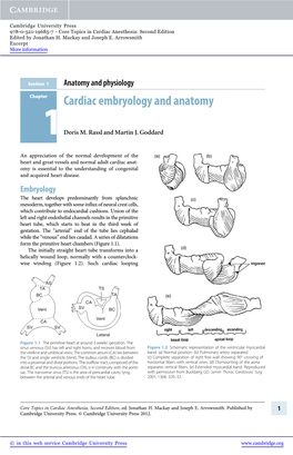 Core Topics in Cardiac Anesthesia, Second Edition, Ed