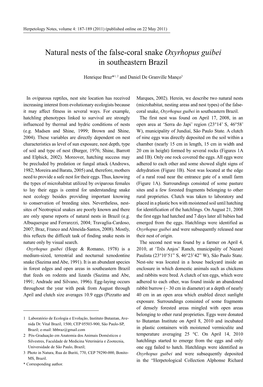 Natural Nests of the False-Coral Snake Oxyrhopus Guibei in Southeastern Brazil