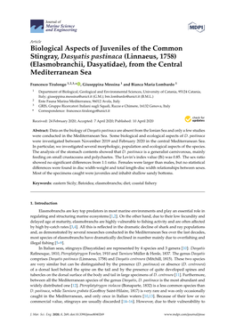 Biological Aspects of Juveniles of the Common Stingray, Dasyatis Pastinaca (Linnaeus, 1758) (Elasmobranchii, Dasyatidae), from the Central Mediterranean Sea