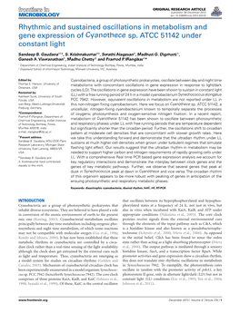 Rhythmic and Sustained Oscillations in Metabolism and Gene Expression of Cyanothece Sp