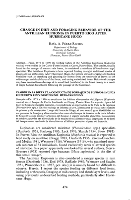 Change in Diet and Foraging Behavior of the Antillean Euphonia in Puerto Rico After Hurricane Hugo