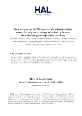 New Insight on FGFR3-Related Chondrodysplasias Molecular Physiopathology Revealed by Human Chondrocyte Gene Expression Profiling