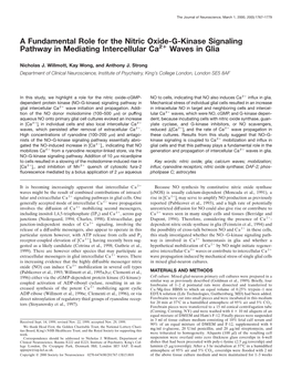 A Fundamental Role for the Nitric Oxide-G-Kinase Signaling Pathway in Mediating Intercellular Ca2+ Waves in Glia