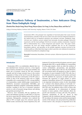 The Biosynthesis Pathway of Swainsonine, a New Anticancer