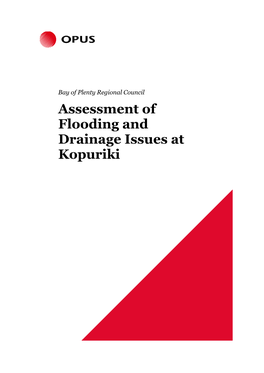 Assessment of Flooding and Drainage Issues at Kopuriki