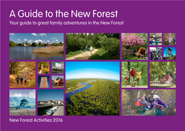 A Guide to the New Forest Your Guide to Great Family Adventures in the New Forest