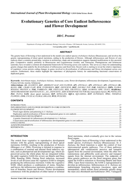 Evolutionary Genetics of Core Eudicot Inflorescence and Flower Development