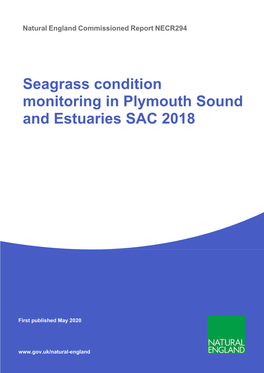 Seagrass Condition Monitoring in Plymouth Sound and Estuaries SAC 2018
